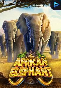 Bocoran RTP African Elephant di Situs Ajakslot Generator RTP Resmi dan Terakurat